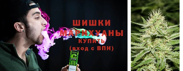 дурь Ладушкин