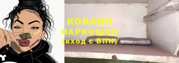 ГАЛЛЮЦИНОГЕННЫЕ ГРИБЫ Лагань