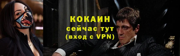 дурь Ладушкин