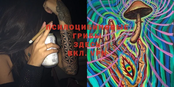 дурь Ладушкин