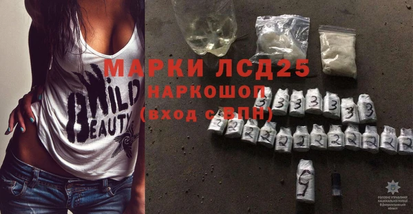 ГАЛЛЮЦИНОГЕННЫЕ ГРИБЫ Лагань