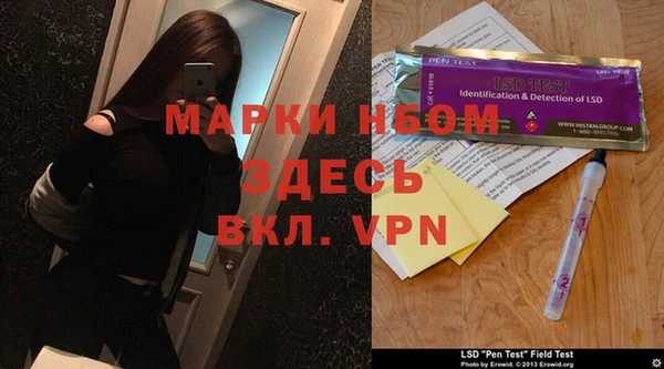ГАЛЛЮЦИНОГЕННЫЕ ГРИБЫ Лагань