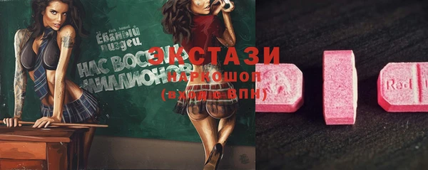 ГАЛЛЮЦИНОГЕННЫЕ ГРИБЫ Лагань