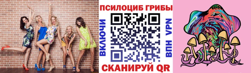 Купить закладки  Арамиль  Псилоцибиновые грибы мухоморы 